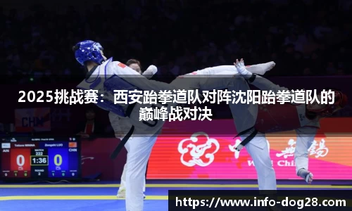 2025挑战赛:西安跆拳道队对阵沈阳跆拳道队的巅峰战对决
