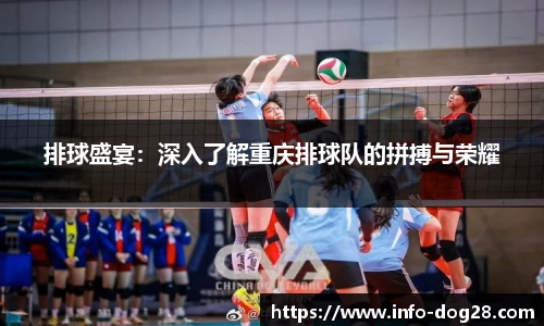 排球盛宴：深入了解重庆排球队的拼搏与荣耀