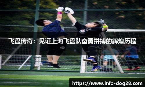 飞盘传奇:见证上海飞盘队奋勇拼搏的辉煌历程